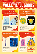 VOLLEYBALL GOODS